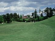 ����`�T���J���g���[�N���u�̎ʐ^1