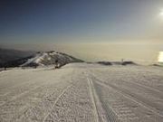 �т�΃o���C�̎ʐ^3