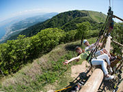 �т�΃o���C�̎ʐ^2