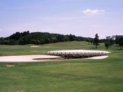 ���ÃS���t��y���̎ʐ^2