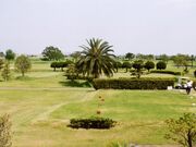 �ނ��낤�J���g���[�N���u�̎ʐ^1