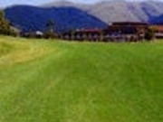 ���h�O���[���q���J���g���[�N���u�̎ʐ^1