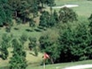 �O�����h�`�����s�I���S���t�N���u�̎ʐ^1