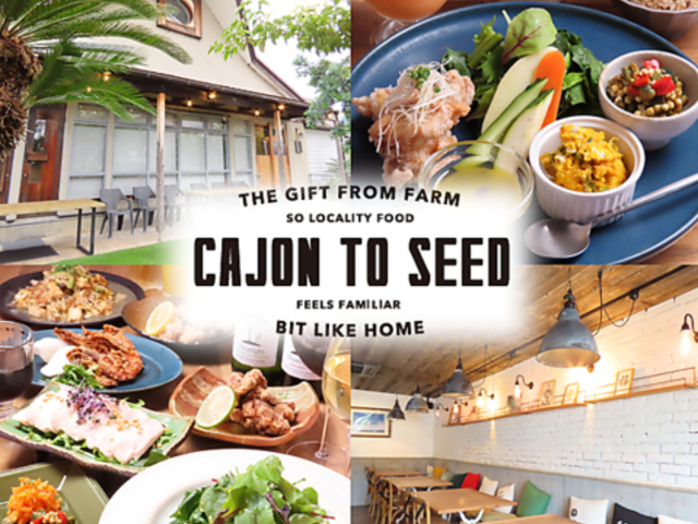 Cajon to Seed �J�z���g�D�V�[�h�̎ʐ^1