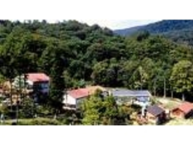 ��m������