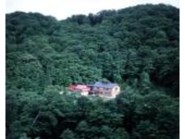 ���l����O�Y����