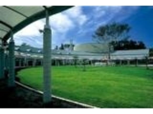 ���˂�������