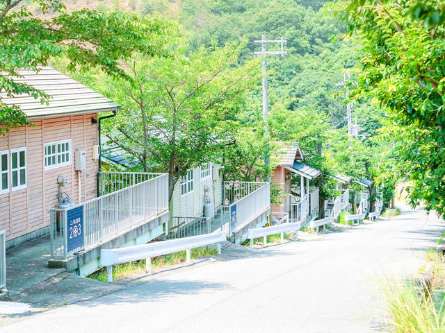 ��m�ۉ���