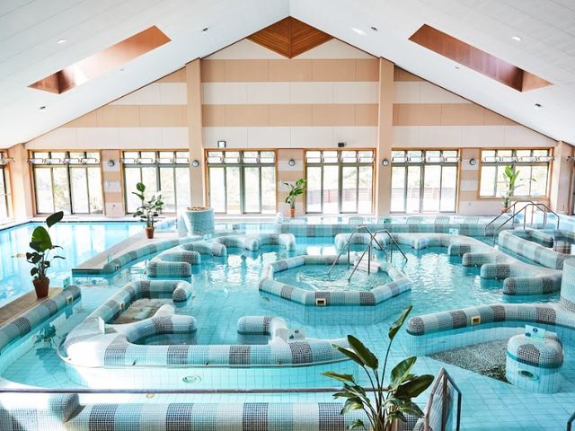 �o���l�I�v�[��_�N�A�e�������V