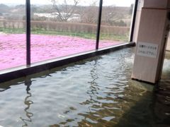 前沢温泉「舞鶴の湯」の写真2