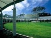 ���˂�������̎ʐ^1