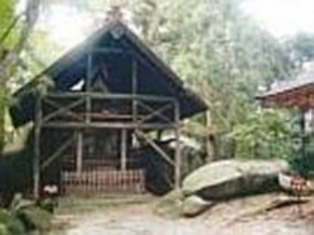 �������w��̖����y�ѓV�R�L�O���̊�p�R_��p�R