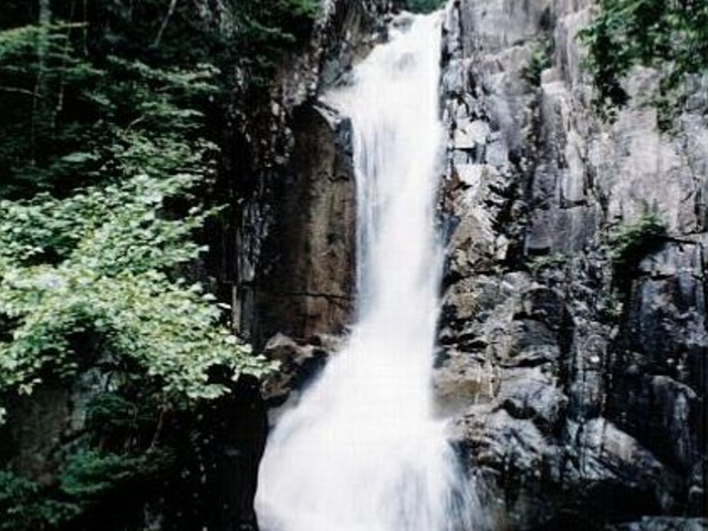 �����̑�̎ʐ^1