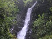 �쎭�̑�̎ʐ^1