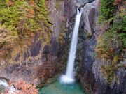 ���M�̑�̎ʐ^1