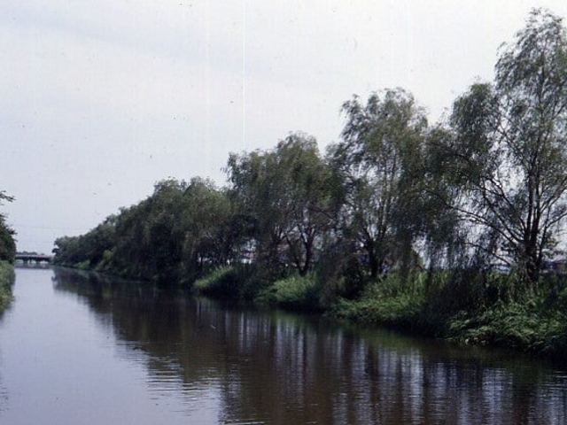 ���]����E�����؂̎ʐ^1