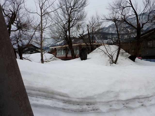 �ÔO�V�i�P�r�j����̐�