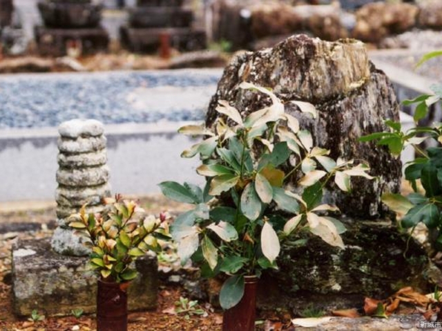 森の石松の墓】アクセス・営業時間・料金情報 - じゃらんnet