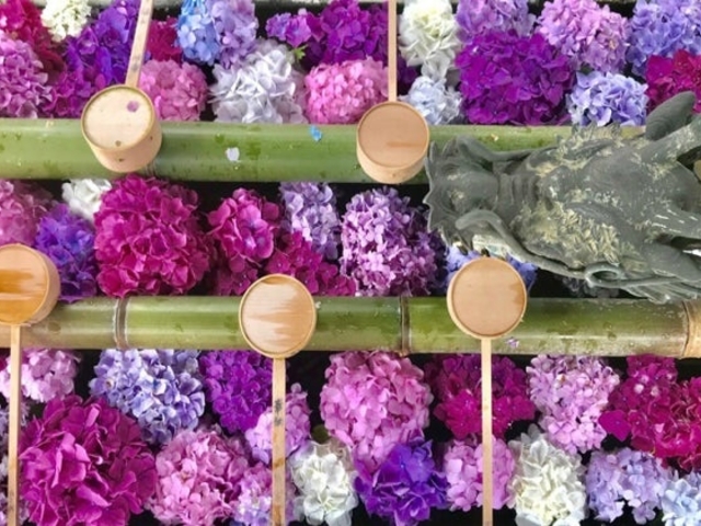 ���J�ω��k�J���̂�������