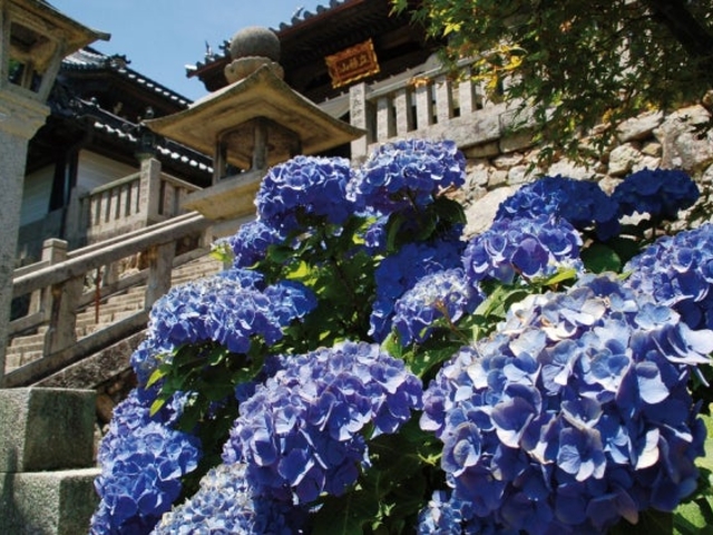 ���J�ω��k�J���̂�������