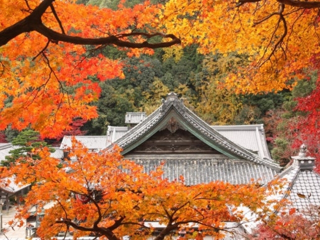 ���J�ω��k�J���̂�������