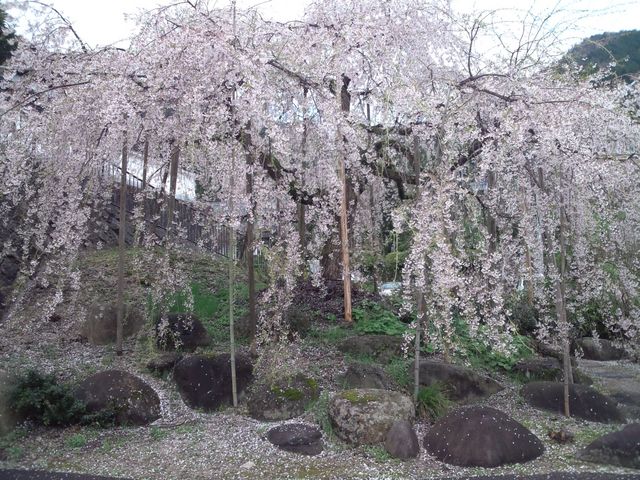 �׉_���̂������