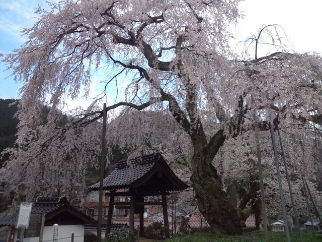 �׉_���̂������