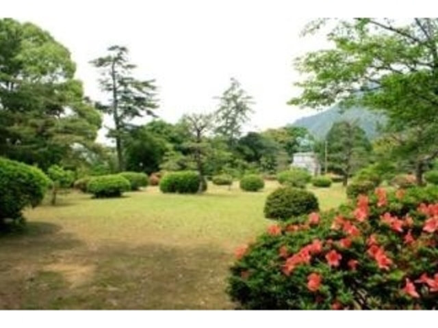 �T�R�����^���̎ʐ^1