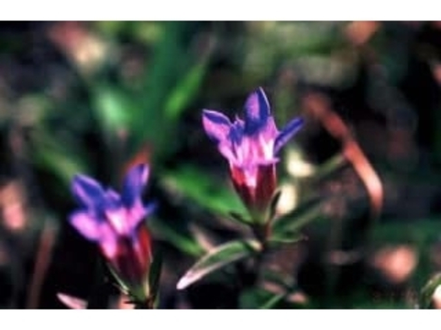 �H�g��^�����h�E�̎ʐ^1