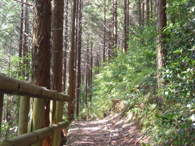 ���w�т̎ʐ^1