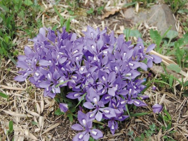 �G�q���A������������n