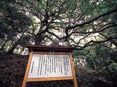 ��I�O�b���̃��b�R�N�̎ʐ^1