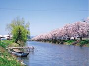 ���]����E�����؂̎ʐ^2