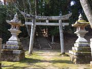 �Ȃ񂶂���񂶂�̖؂̎ʐ^2