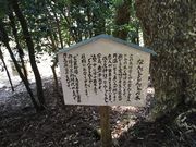 �Ȃ񂶂���񂶂�̖؂̎ʐ^3