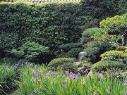 �@�؎��̃J�L�c�o�^�̎ʐ^1