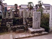 �R������̕�̎ʐ^1