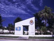 �������p�i�E�����������L�O��̎ʐ^1