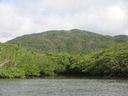 ���Ԑ�V�R�ی���̎ʐ^1