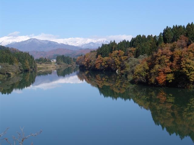 �����_�����