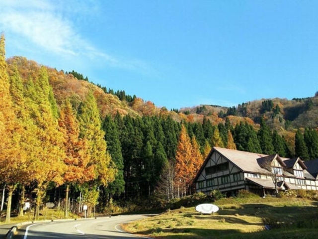 �n�[�u�̗��~���g���C�m�̎ʐ^1