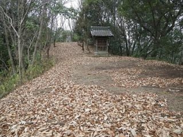 ����R�Õ��̎ʐ^1