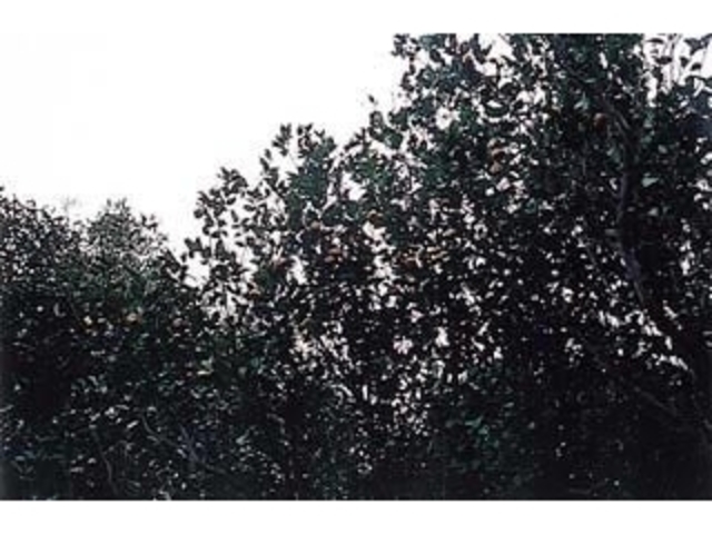 }RREC^`oin_}RREC^`oin