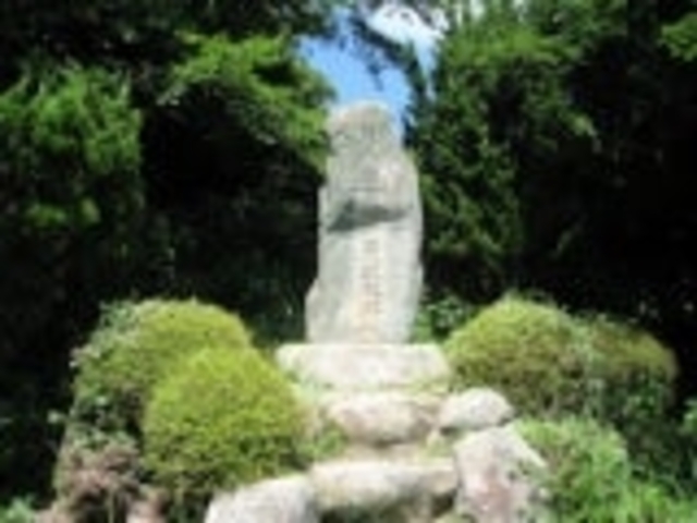 ����F�E�q�剥�񓿔�̎ʐ^1