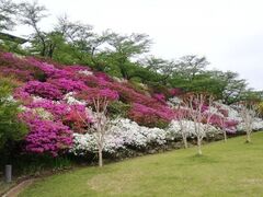 �{�������̂��̎ʐ^1