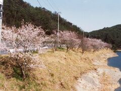 ����̍��̎ʐ^1