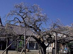 �d���~�̎ʐ^1