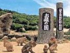 小豆島銚子渓自然動物園　お猿の国の写真1
