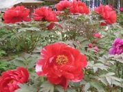 �������^�ڂ���̎ʐ^2