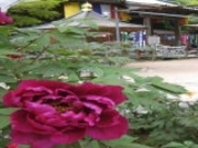 �������^�ڂ���̎ʐ^1